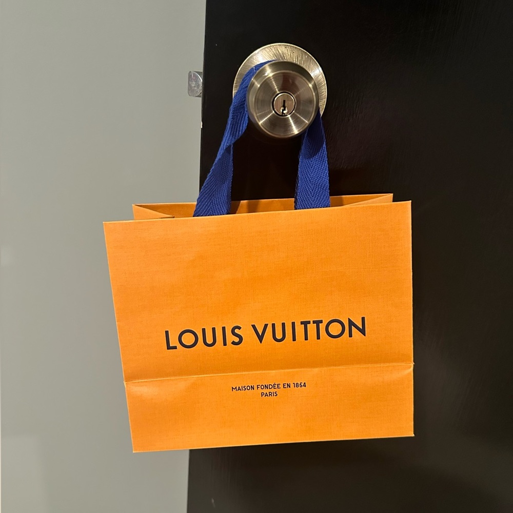 Lv store bag